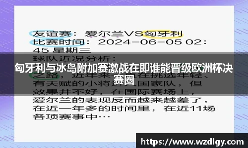 匈牙利与冰岛附加赛激战在即谁能晋级欧洲杯决赛圈