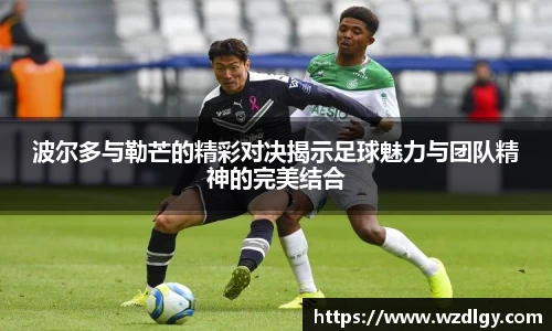 波尔多与勒芒的精彩对决揭示足球魅力与团队精神的完美结合